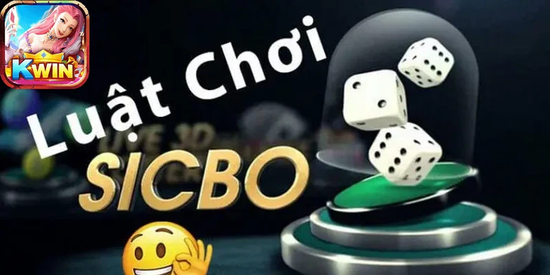 Hình ảnh giao diện sicbo kwin sống động, dễ sử dụng cho người mới.
